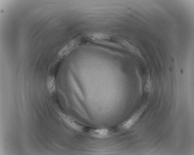 X0000078860478200611271416