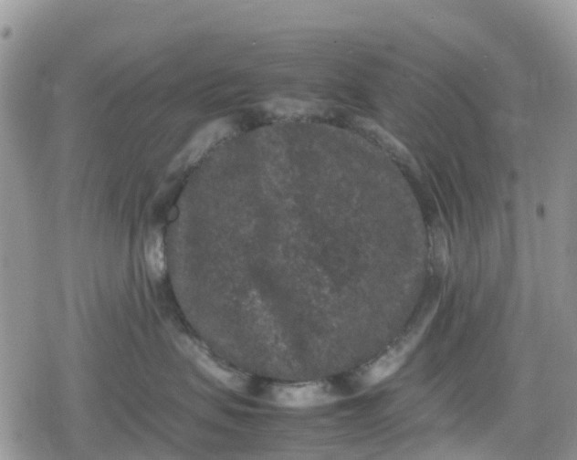 X0000078860479200611271416