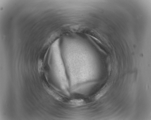 X0000078860480200611271416