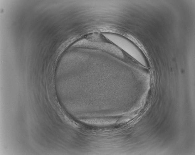 X0000078860481200611271415