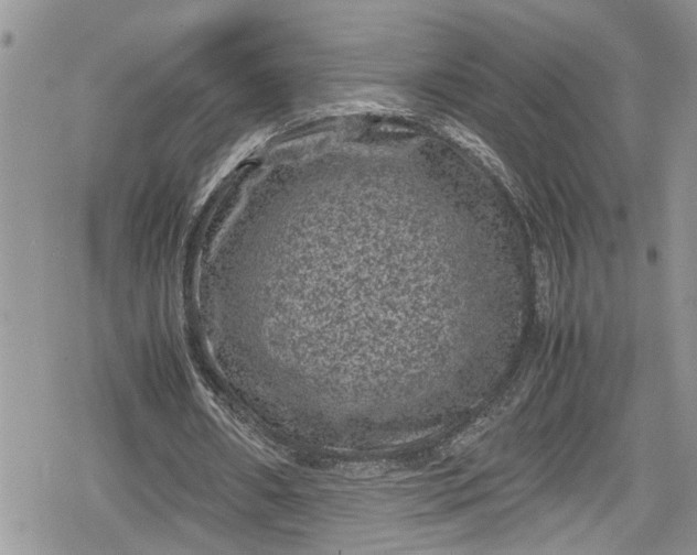 X0000078860482200611271415