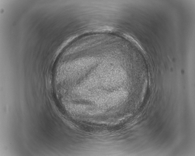 X0000078860483200611271415