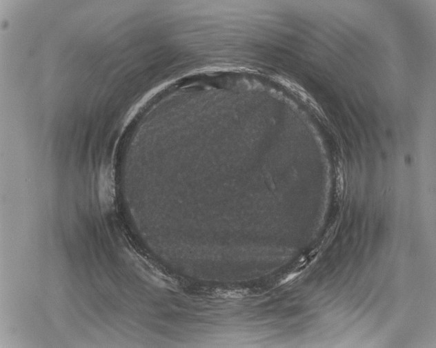 X0000078860484200611271415