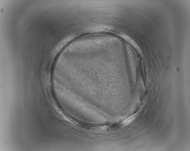 X0000078860485200611271415