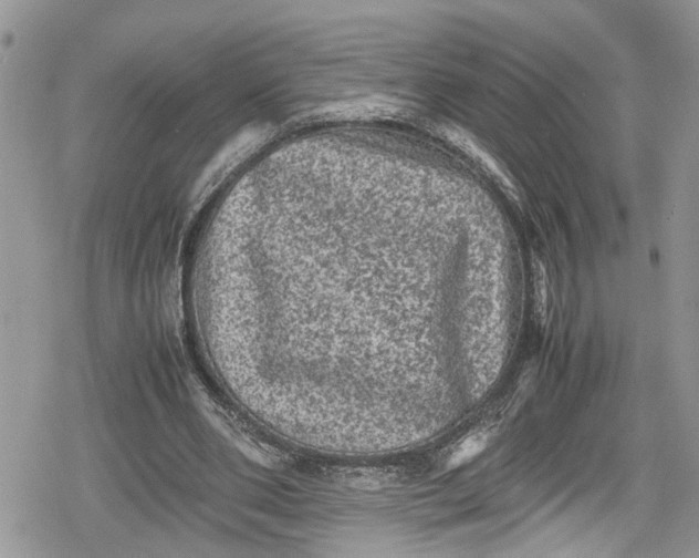 X0000078860486200611271415