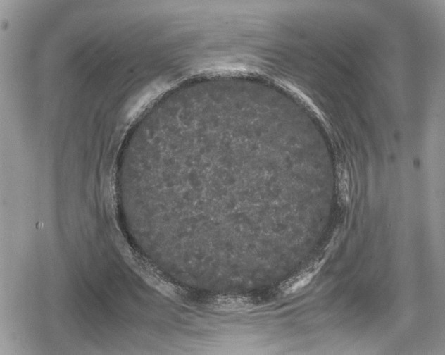 X0000078860487200611271415