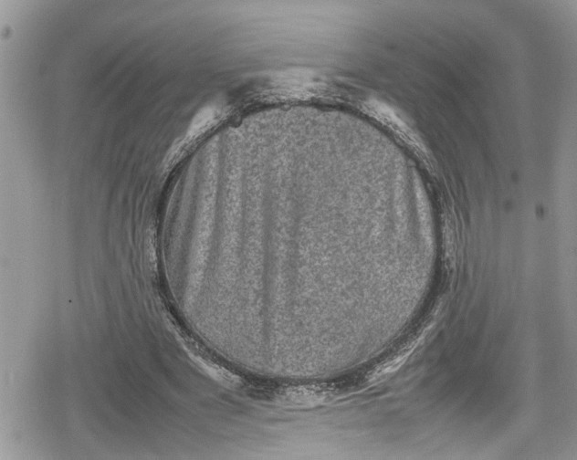 X0000078860489200611271415