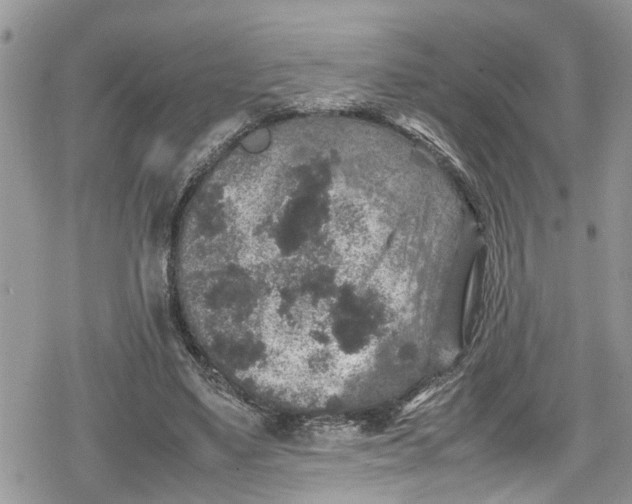 X0000078860491200611271415