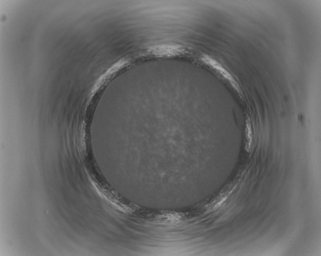 X0000078860492200611271415