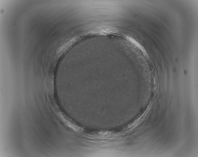 X0000078860493200611271415