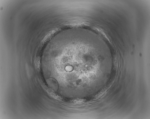 X0000078860495200611271415