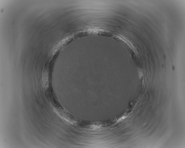 X0000078860496200611271415