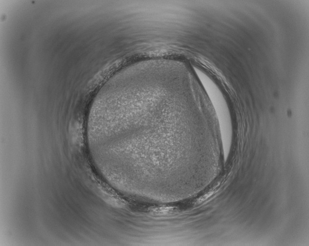 X0000078860497200611271415