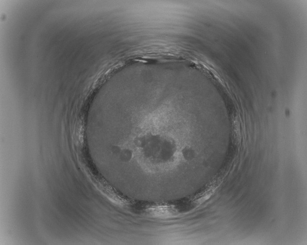 X0000078860499200611271415