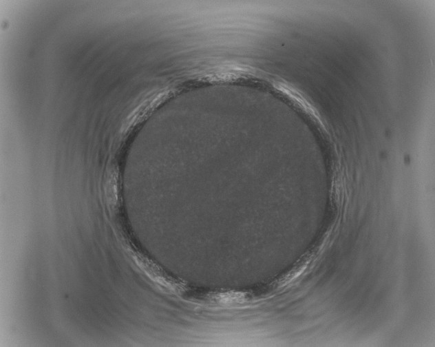 X0000078860501200611271415