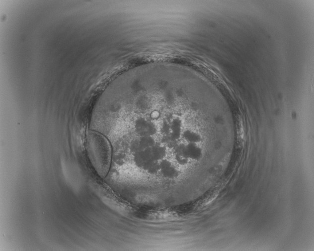 X0000078860503200611271415