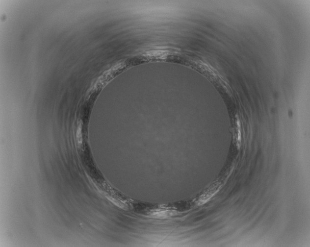 X0000078860504200611271415