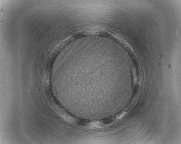 X0000078860505200611271415