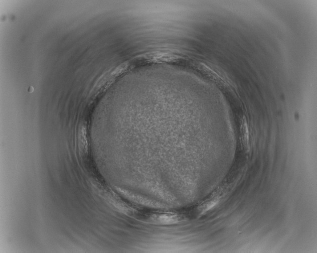 X0000078860506200611271415