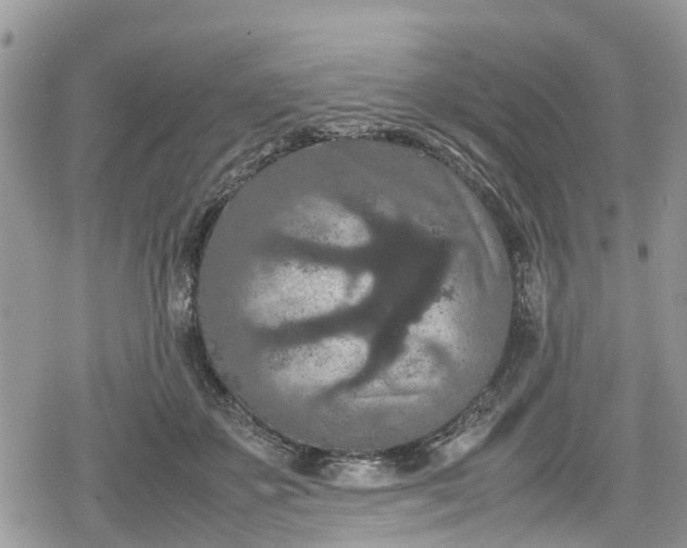 X0000078860507200611271415