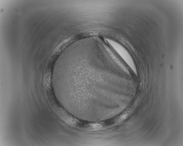 X0000078860509200611271415