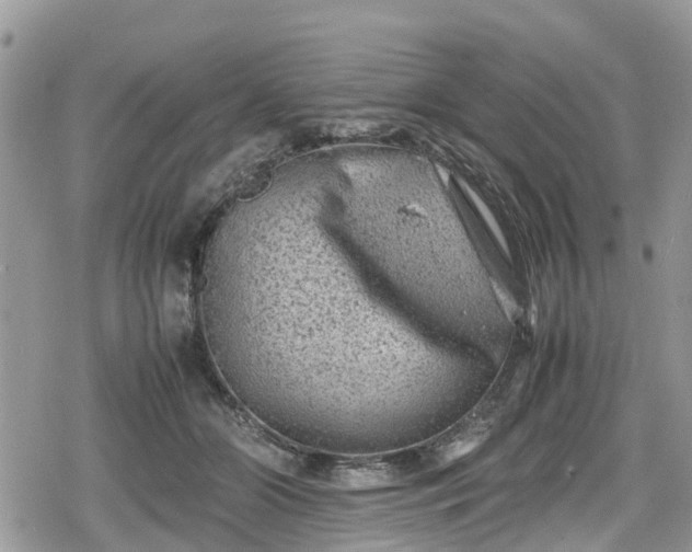 X0000078860510200611271415