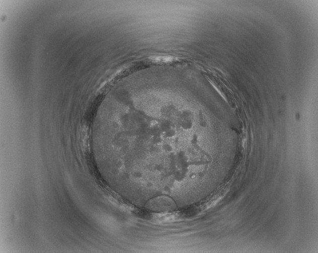 X0000078860511200611271415