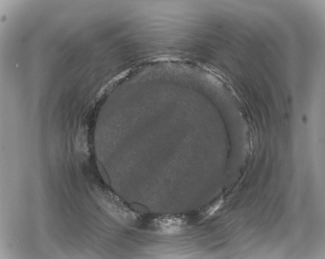 X0000078860512200611271415