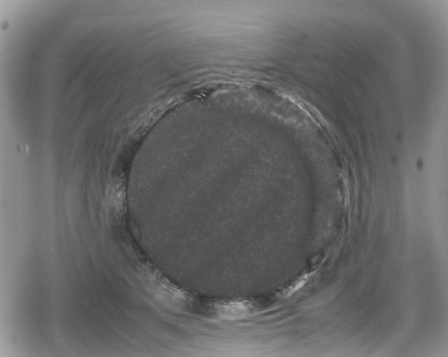 X0000078860513200611271415