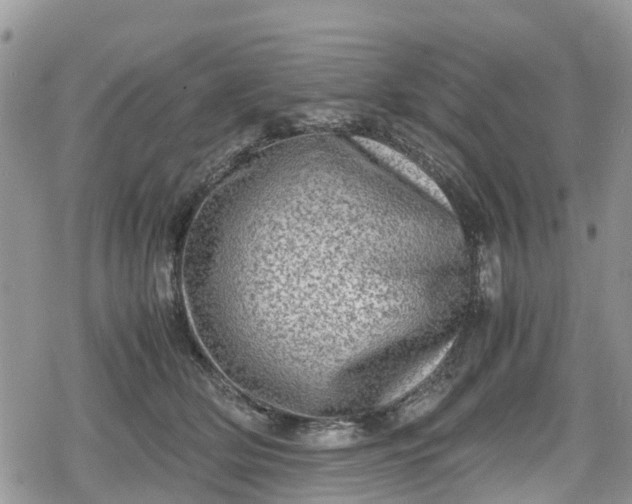 X0000078860514200611271415