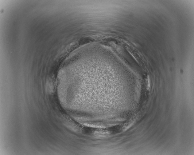 X0000078860515200611271415