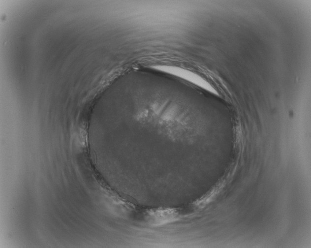 X0000078860517200611271415