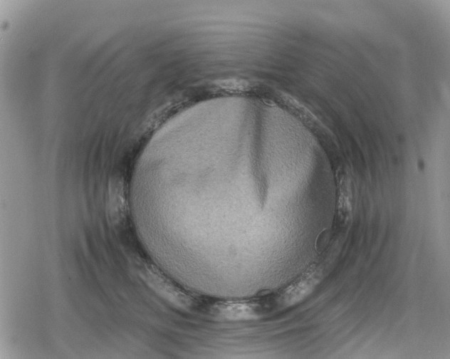 X0000078860518200611271415