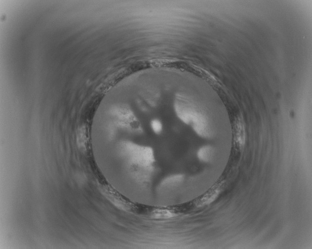 X0000078860519200611271415