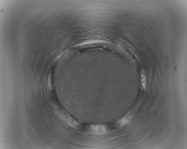 X0000078860520200611271415