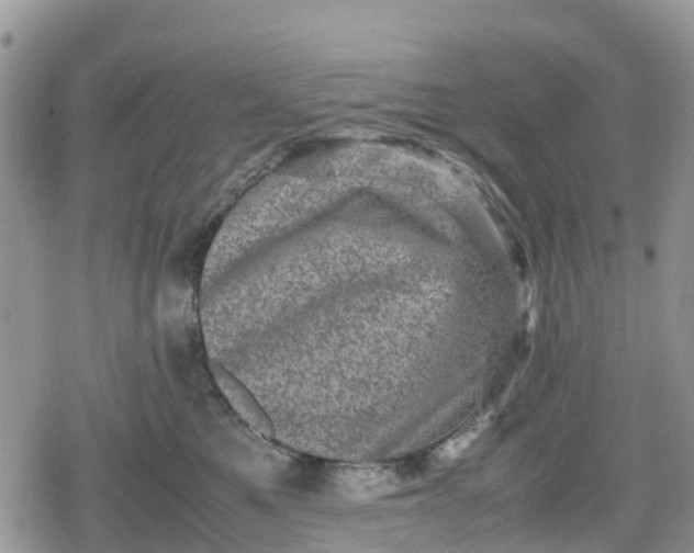 X0000078860521200611271415