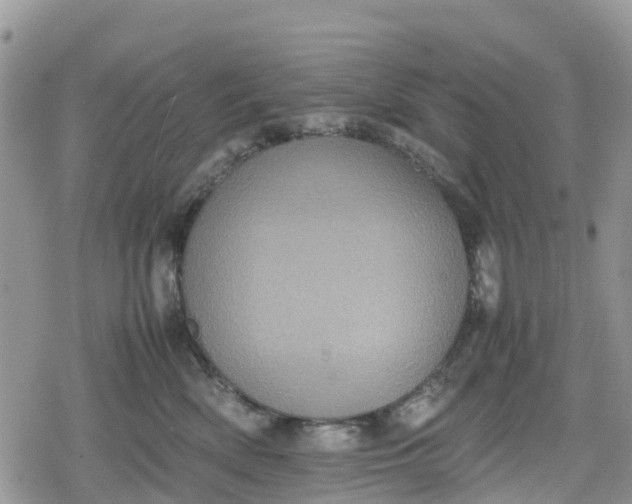 X0000078860522200611271415