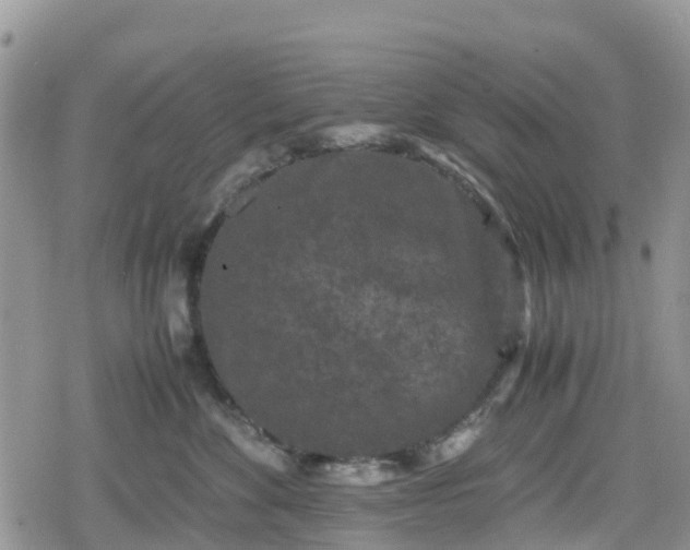 X0000078860524200611271415