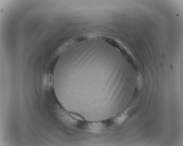 X0000078860525200611271415