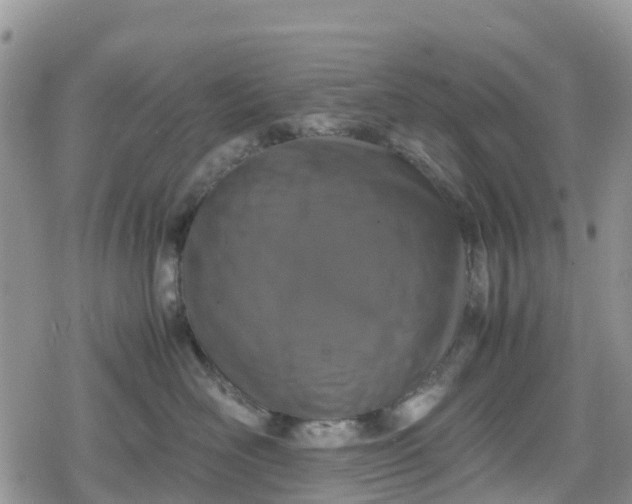 X0000078860526200611271415