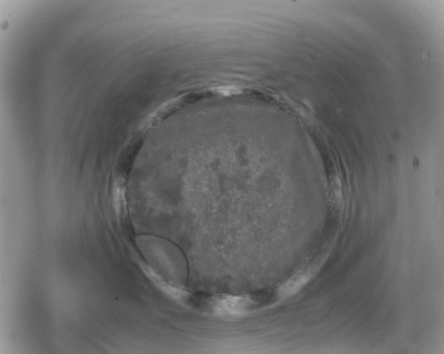 X0000078860527200611271415