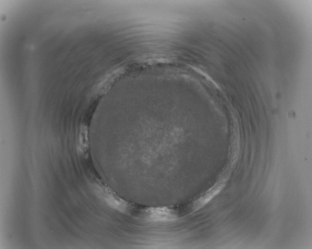 X0000078860528200611271415