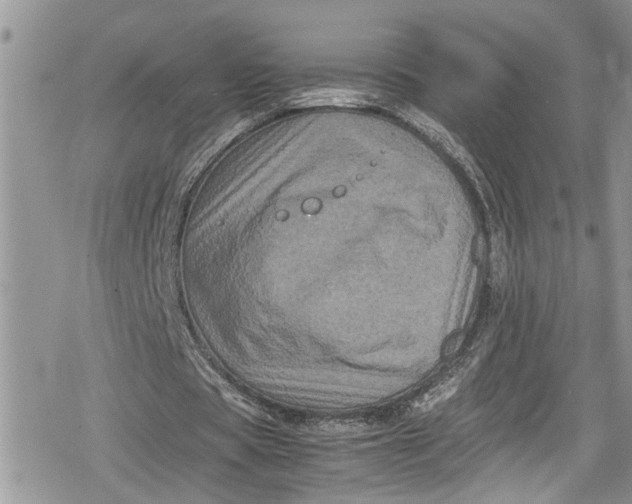 X0000078860529200611271414