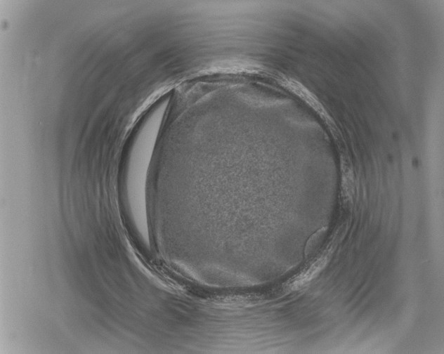 X0000078860530200611271414