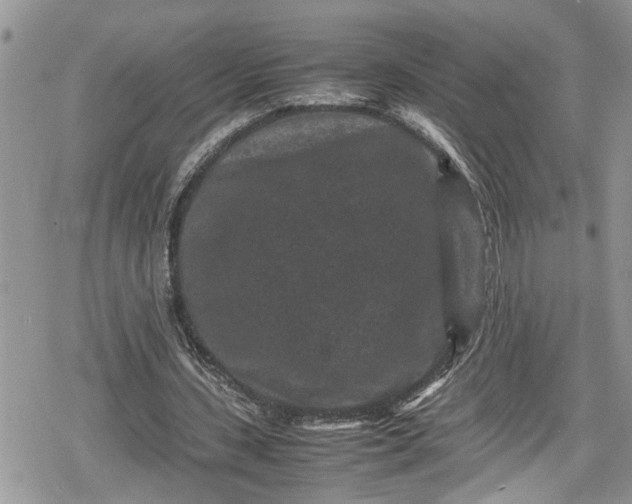 X0000078860531200611271414