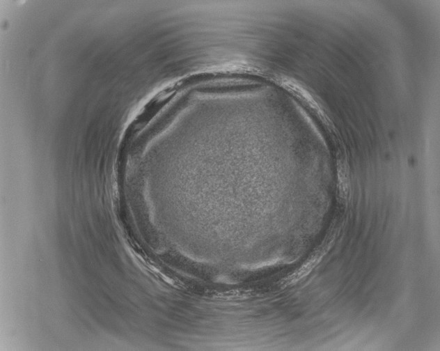 X0000078860532200611271414