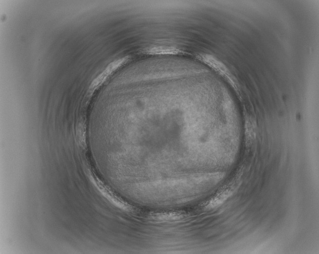 X0000078860533200611271414