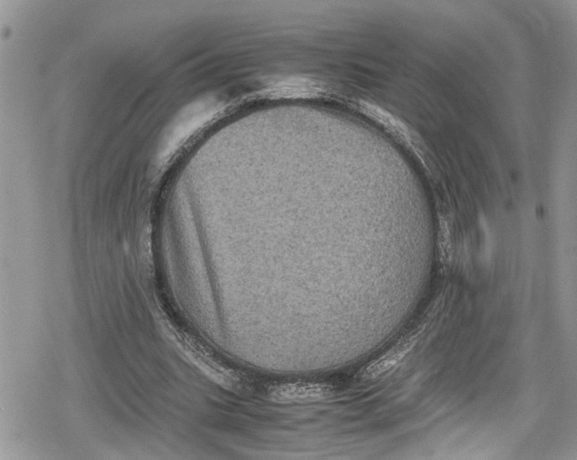 X0000078860535200611271414