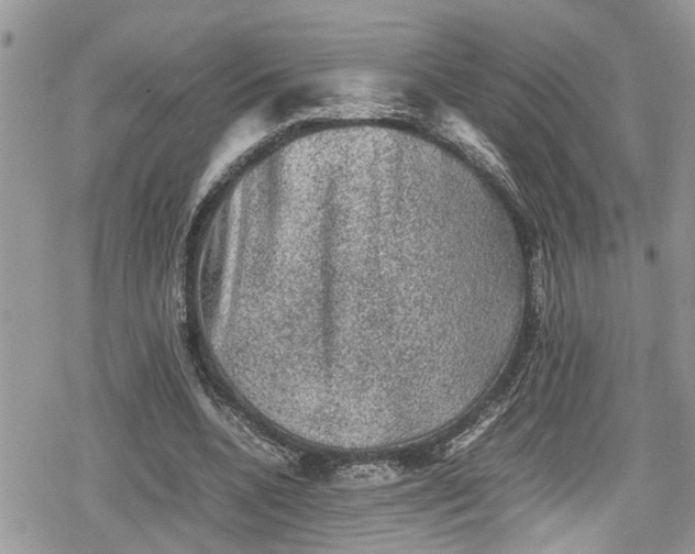 X0000078860536200611271414