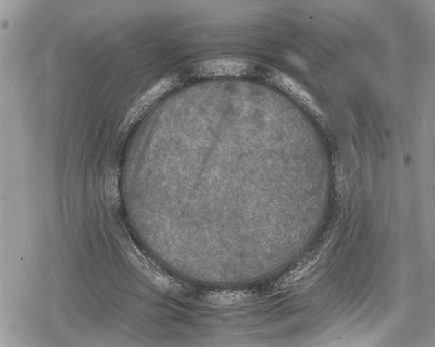 X0000078860537200611271414